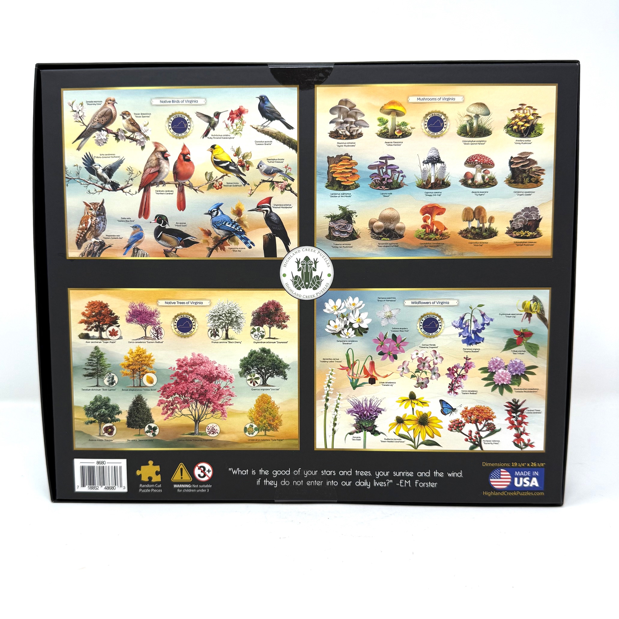 Birds of Virginia Puzzle - Image 2